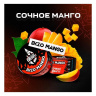 BlackBurn - Ekzo Mango (Сочное манго) 100г