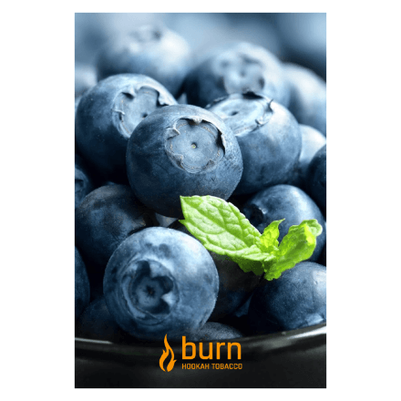 Burn - Blueberry Mint (Черника,мята)