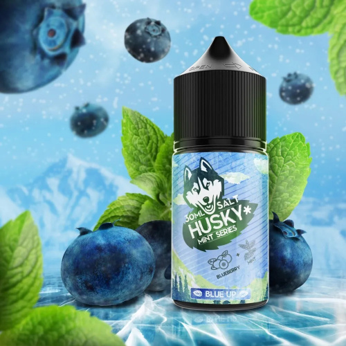 Husky Mint Series, srtong - Blue Up (Голубика, мята) 30мл 20мг