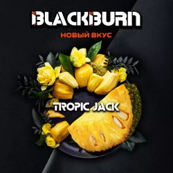 BlackBurn - Tropic Jack (Спелый Джекфрут) 100г