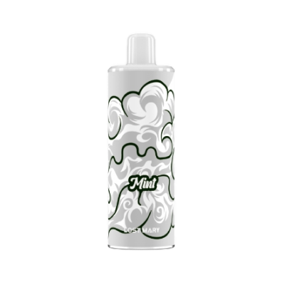 LOST MARY PSYPER картридж 5500 (Мята)