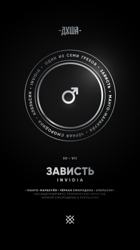 Душа - Зависть (Манго, маракуйя, черная смородина, апельсин) 100гр