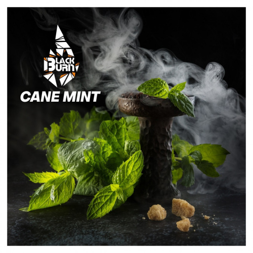BlackBurn - Cane Munt (Тросниковая мята) 100г