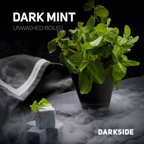 DarkSide Core - Dark mint (Сладкая мята) 30г