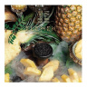 Element 25г (Вода) - Pineapple (Ананас)
