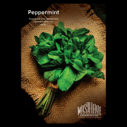 "Must Have" Peppermint (с ароматом перечной мяты) 125г