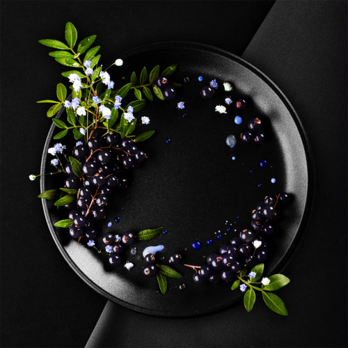  BlackBurn - Shock, currant shock (Кислая черная смородина) 100г