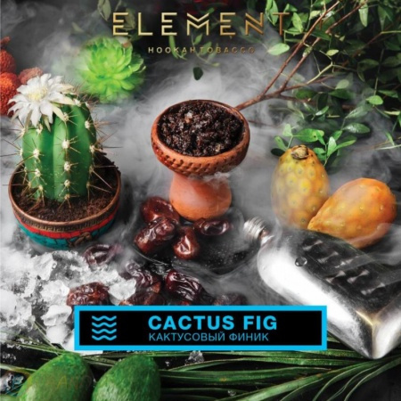 Element 200г (Воздух) - Cactus Fig (Плод кактусового дерева)